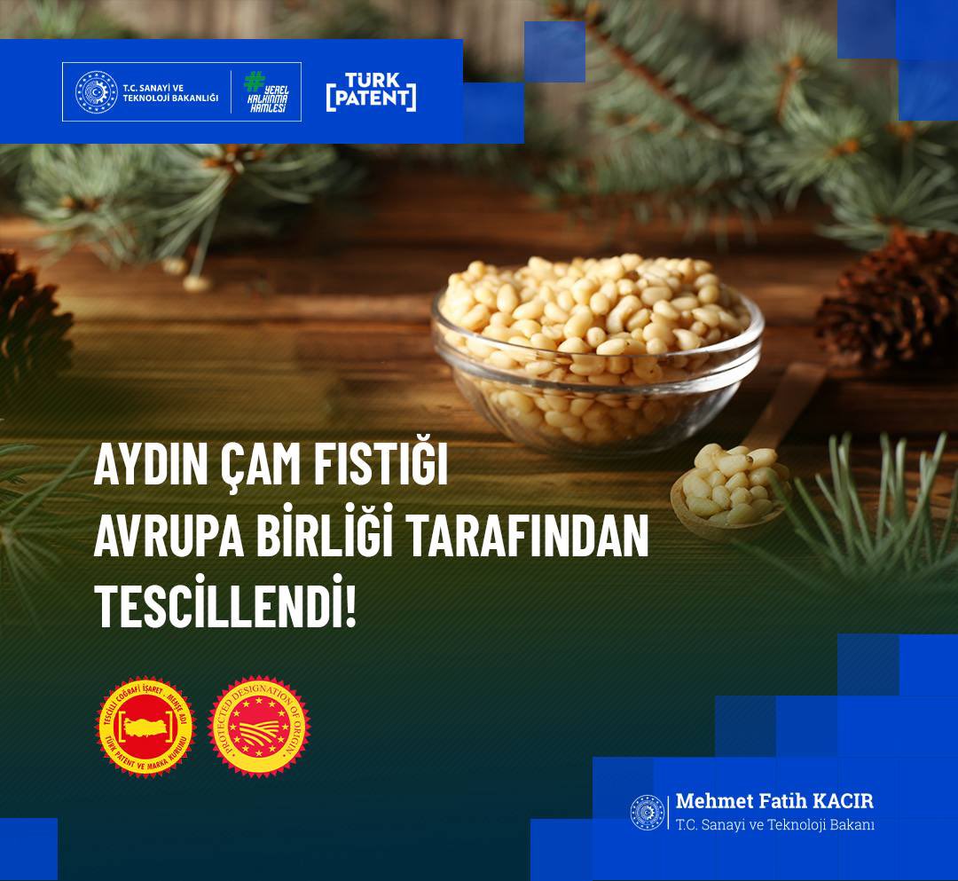 Aydın Çam Fıstığı AB’den Coğrafi İşaret Tescili Aldı: Türkiye’nin 33. Ürünü Oldu