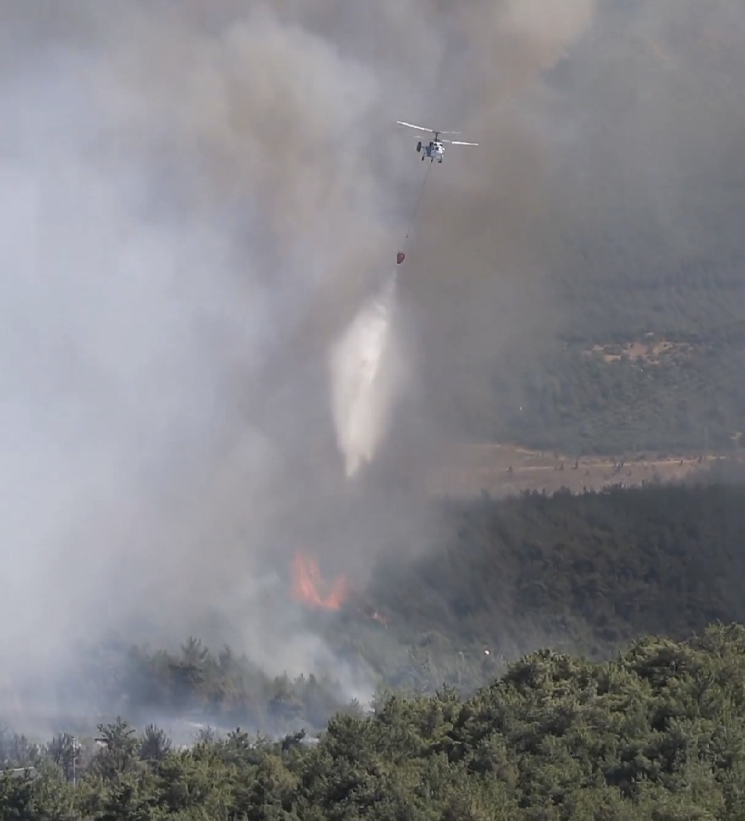 Son 2 Günde 150 Yangın: 8 Orman Yangını Sürüyor, Müdahale Aralıksız Devam Ediyor