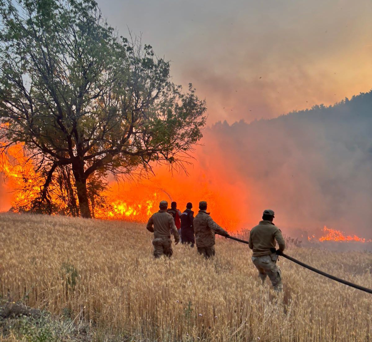 61 Orman Yangınıyla İlgili 23 Kişi Gözaltına Alındı: 4 Tutuklama