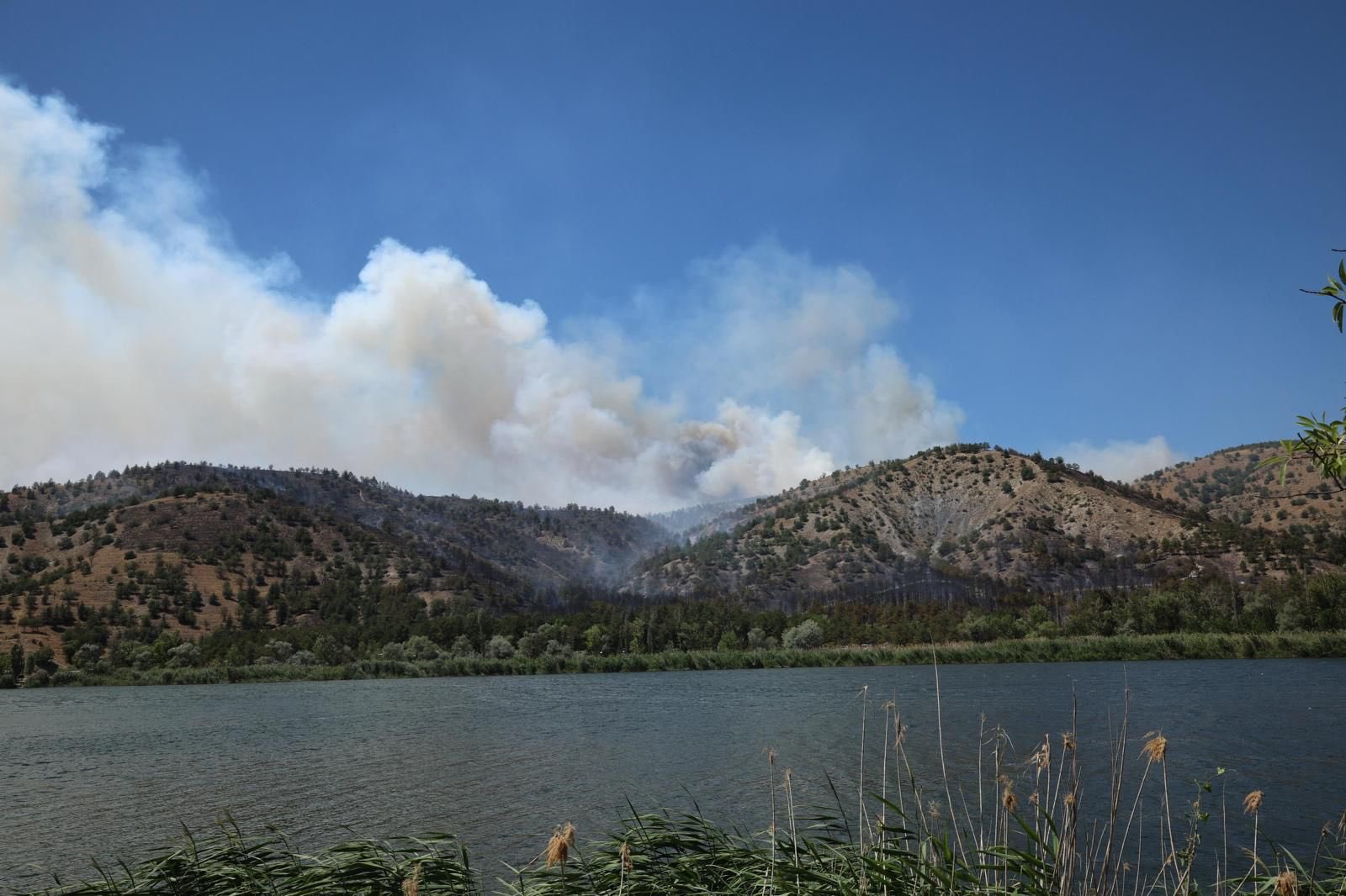 AFAD: Orman Yangınlarında 53 Yerleşim Yeri Tahliye Edildi, Hasar Destekleri Başladı