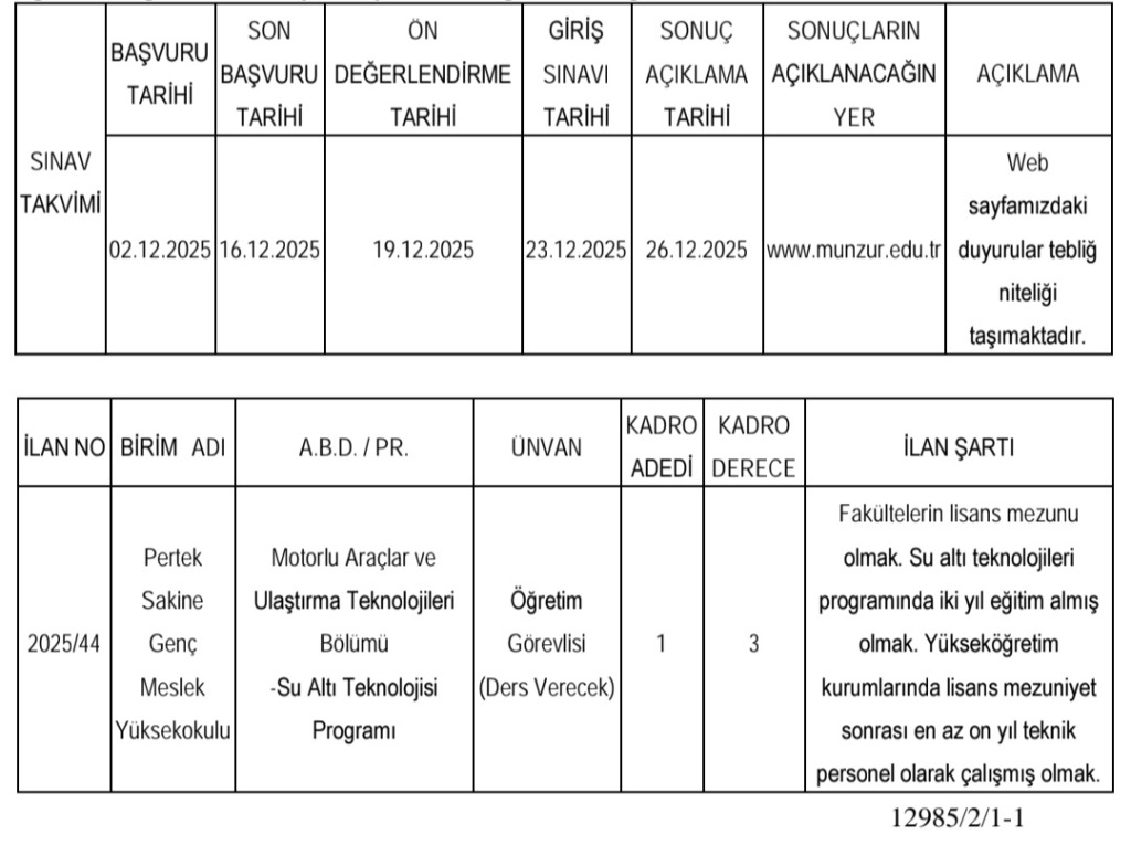 Munzur Üniversitesi 4 Öğretim Üyesi ve 1 Öğretim Elemanı Alım İlanı
