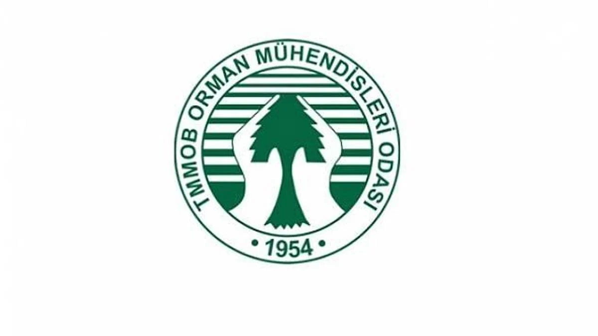 2026 Orman Mühendisleri Sınav Sonuçları Açıklandı | Ankara Serbest Meslek Mensupluğu Sonuçları İlan Edildi