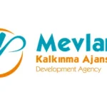 Mevlana Kalkınma Ajansı 1 Uzman Personel Alım İlanı